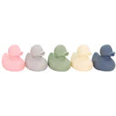 Bath-Rubber Duckies 5 Pack